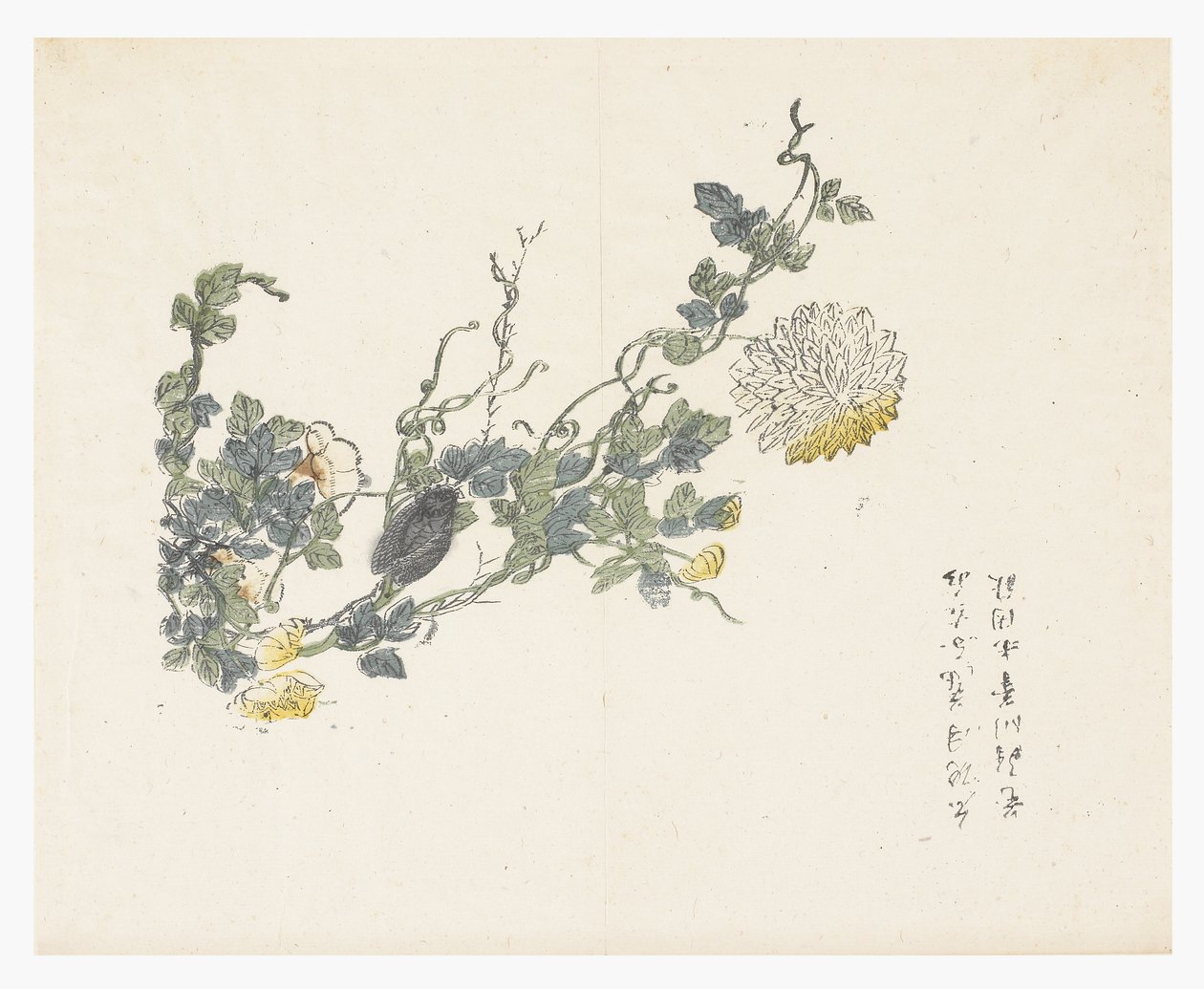 Mustármagos kert alkotó: Chen Chung Jan (after)