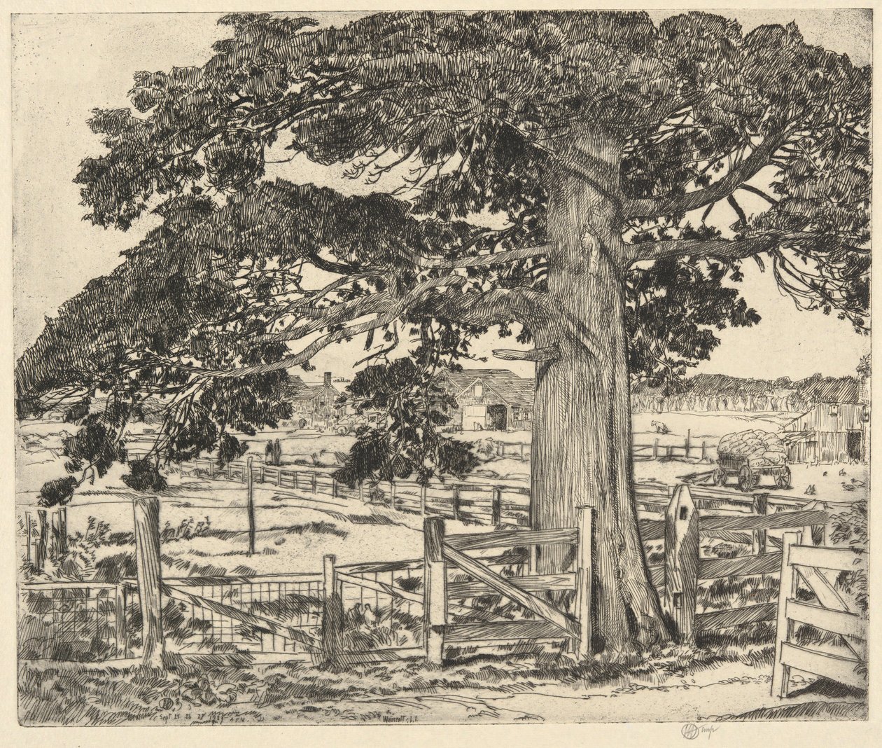 Big Cedar, Wainscott, L. I., 1929 alkotó: Childe Hassam