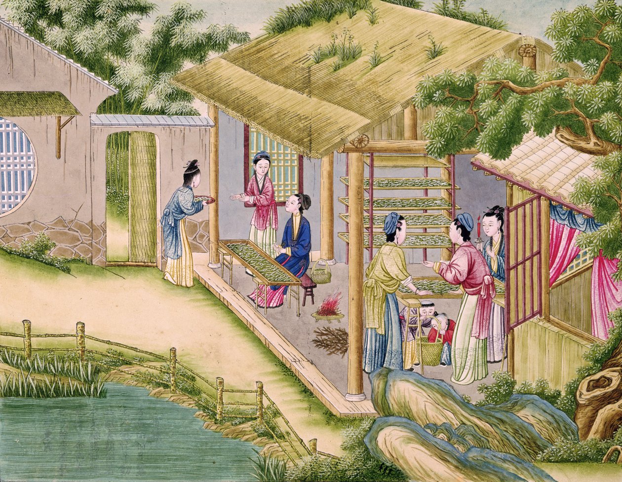 Ms 202 fol.2 Tanulás a selyemhernyókról, a selyemiparról szóló könyvből alkotó: Chinese School