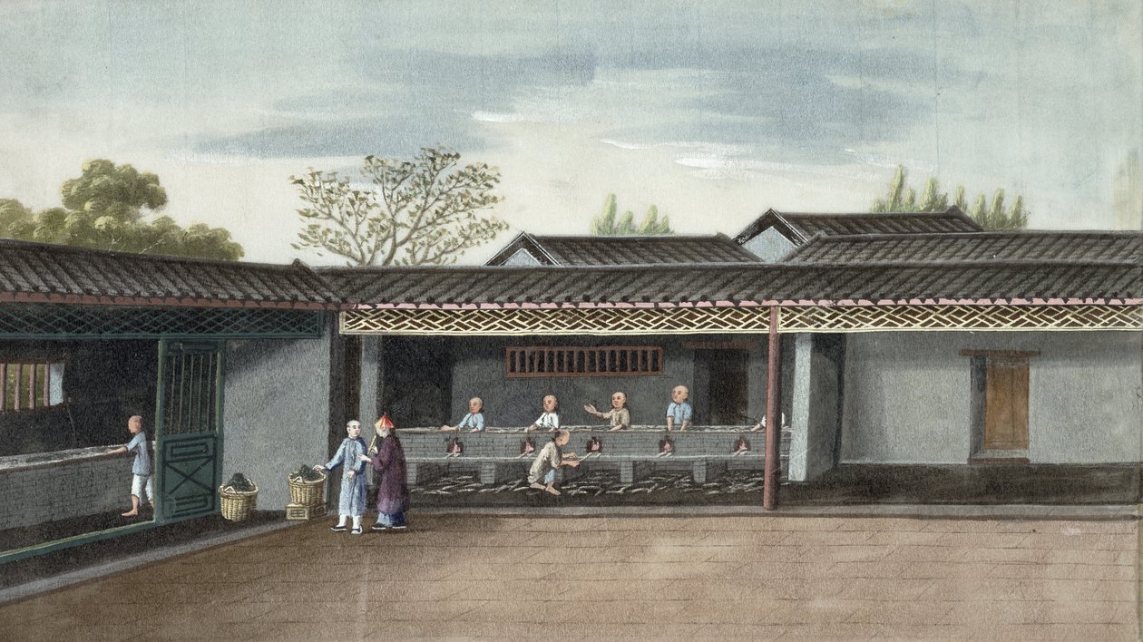 Tealevelek szárítása (wc papíron) alkotó: Chinese School