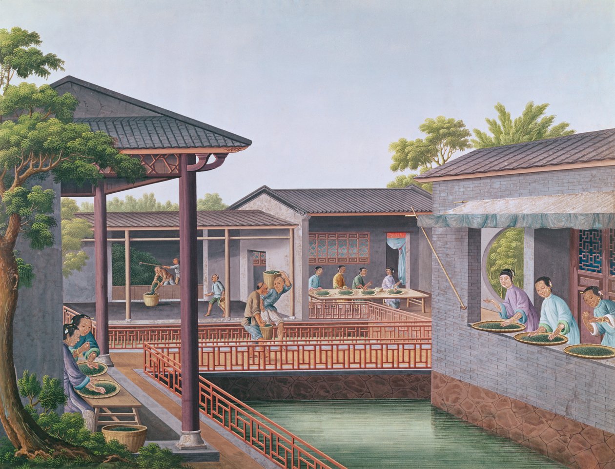 Osztályozó tea (wc papíron) alkotó: Chinese School
