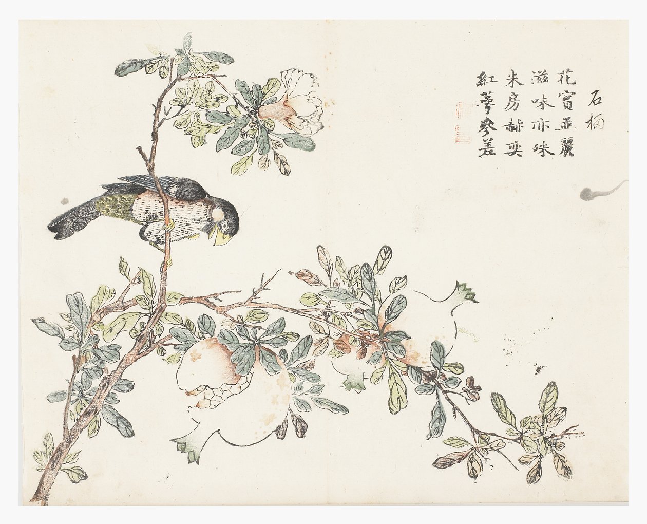 Mustármagos kert alkotó: Chinese School