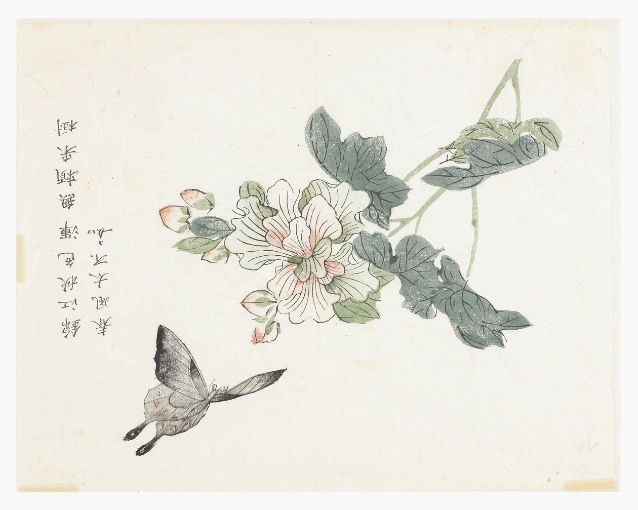 Mustármagos kert alkotó: Chinese School