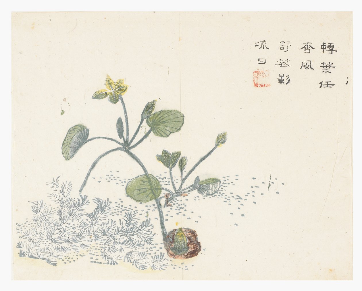 Mustármagos kert alkotó: Chinese School