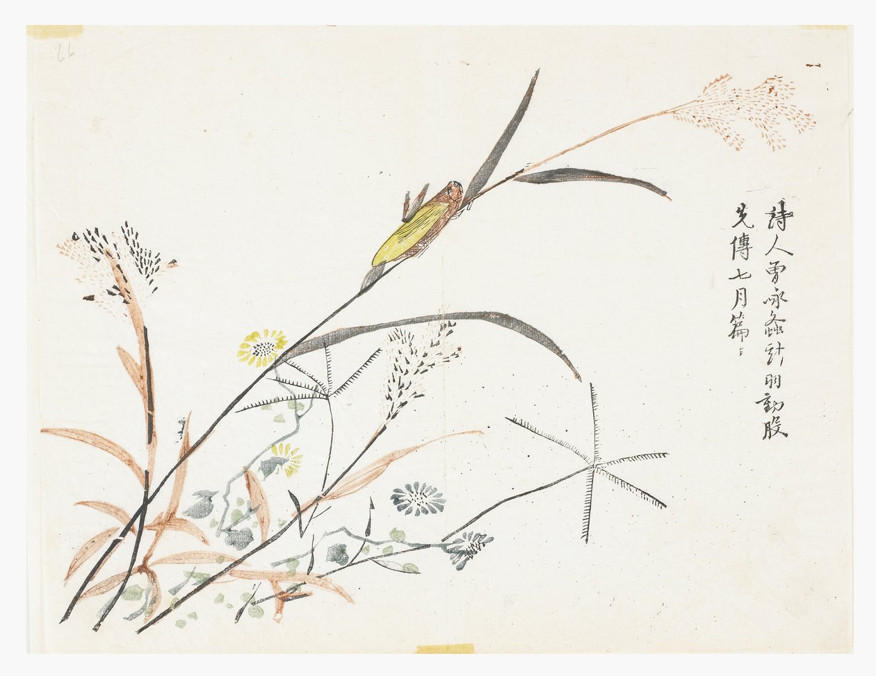 Mustármagos kert alkotó: Chinese School