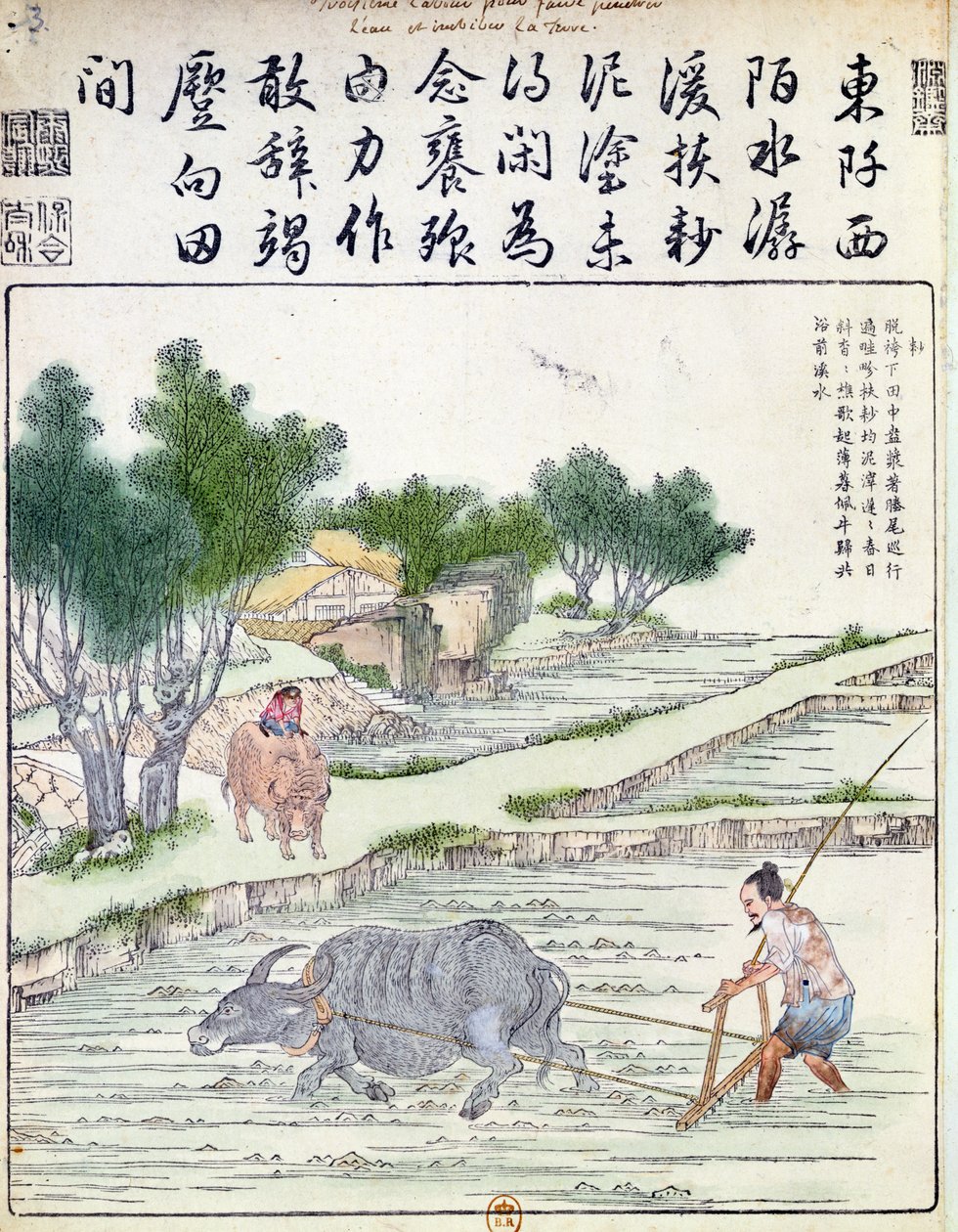 Rizstermesztés Kínában alkotó: Chinese School