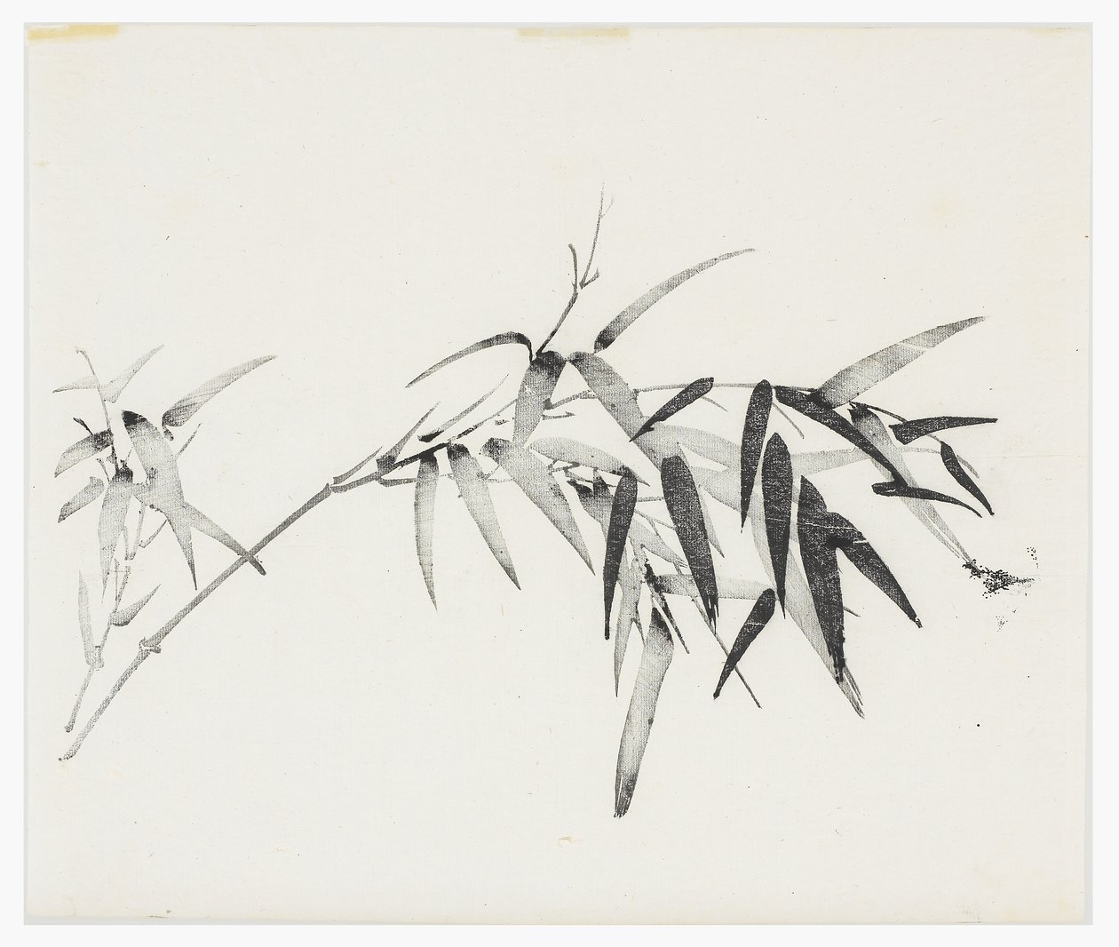 Tíz bambusz sorozat, 18. század alkotó: Chinese School