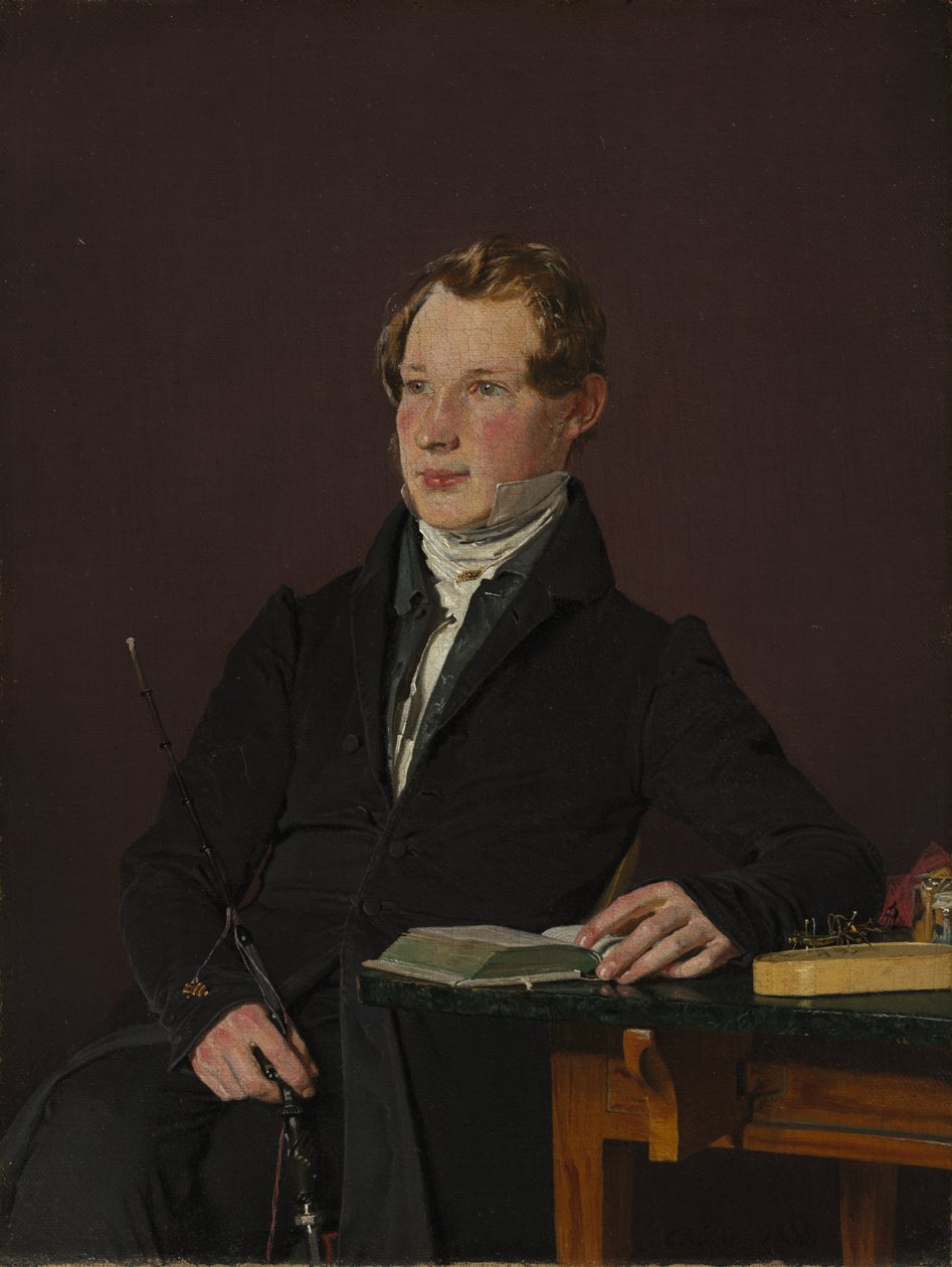 Dr. Johann Henning Kjetil Hjardemaal, 1833. alkotó: Christen Købke