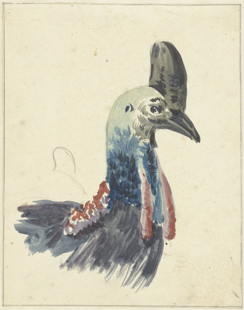 A kazuár vezetője alkotó: Christiaan van Geelen