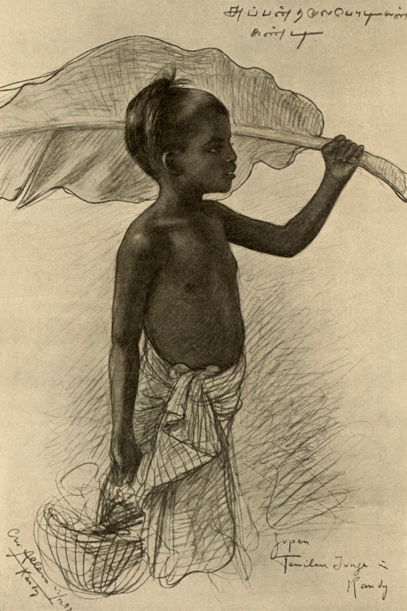 Tamil fiú, Kandy, Ceylon, 1898. alkotó: Christian Wilhelm Allers