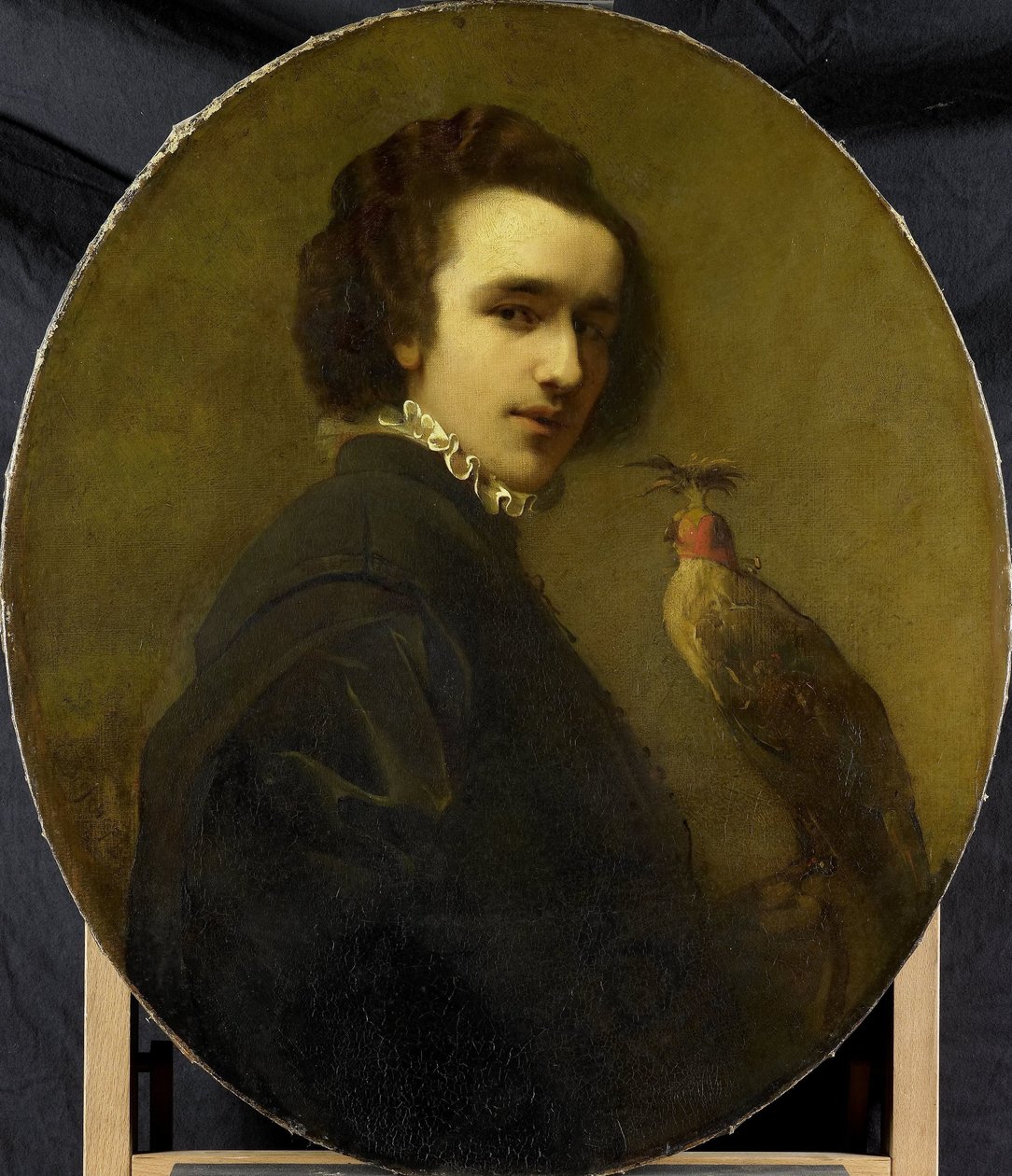 A Falconer alkotó: Christoffel Bisschop