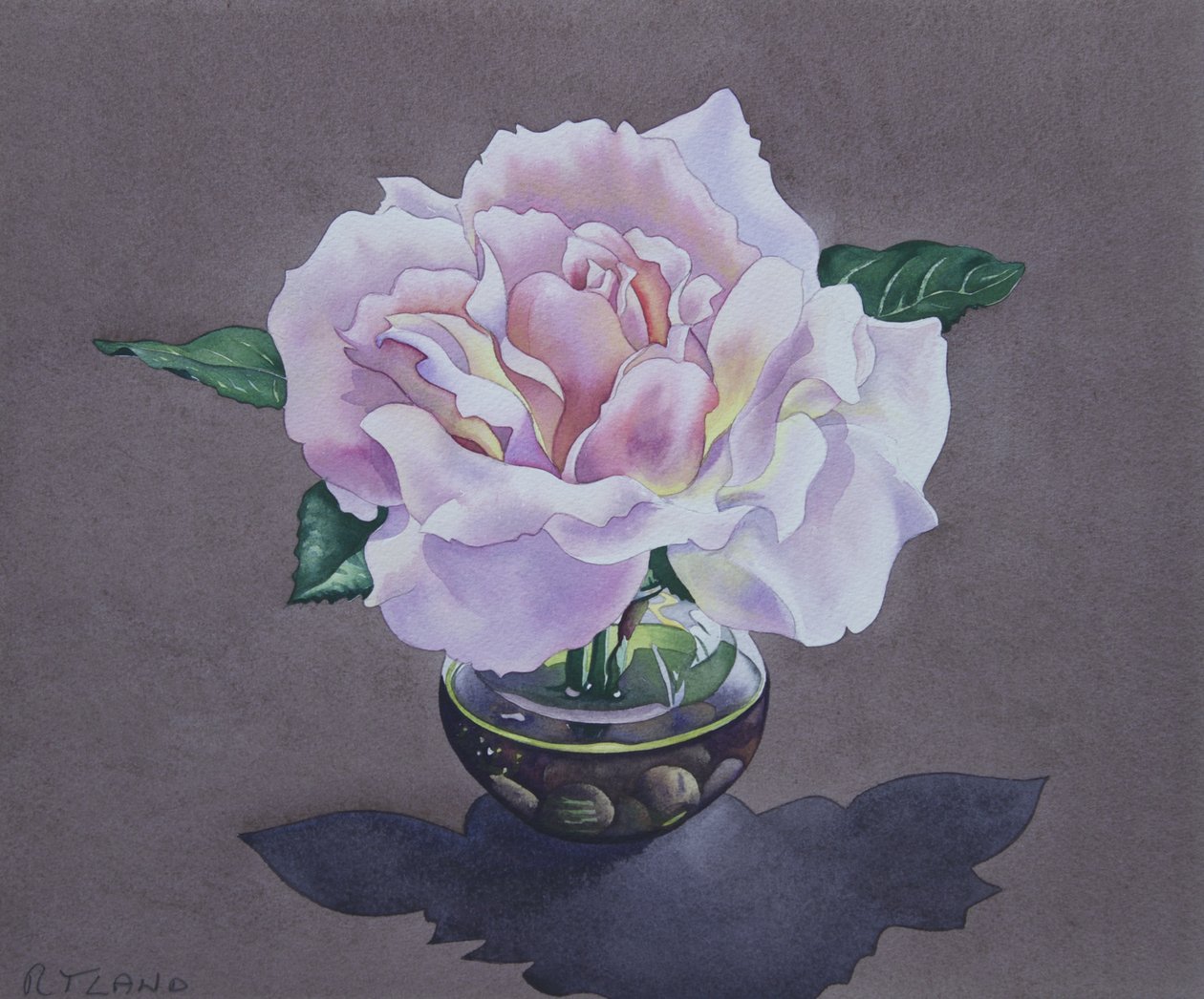Rózsa portréja alkotó: Christopher Ryland