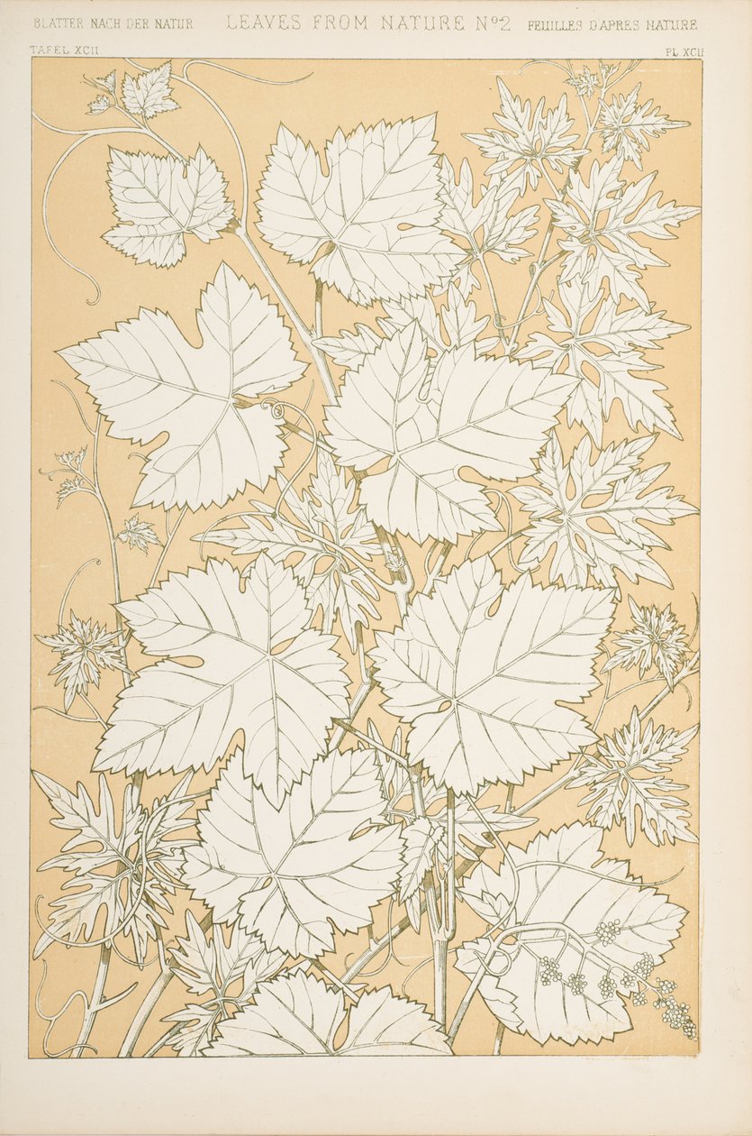 Levelek a természetből, 1868 (chromolitho) alkotó: Christopher Dresser