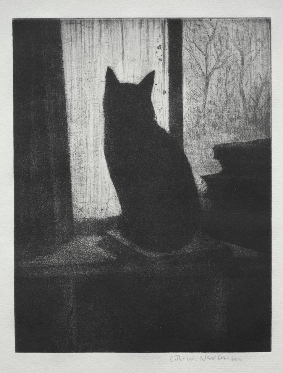 A macska alkotó: Christopher Richard Wynne Nevinson