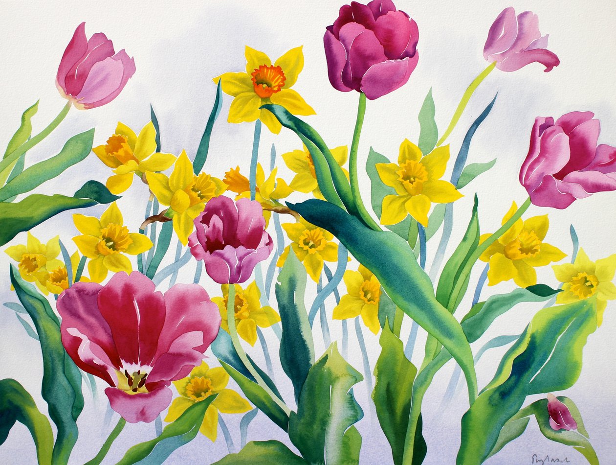 Nárciszok és tulipánok (akvarell papíron) alkotó: Christopher Ryland