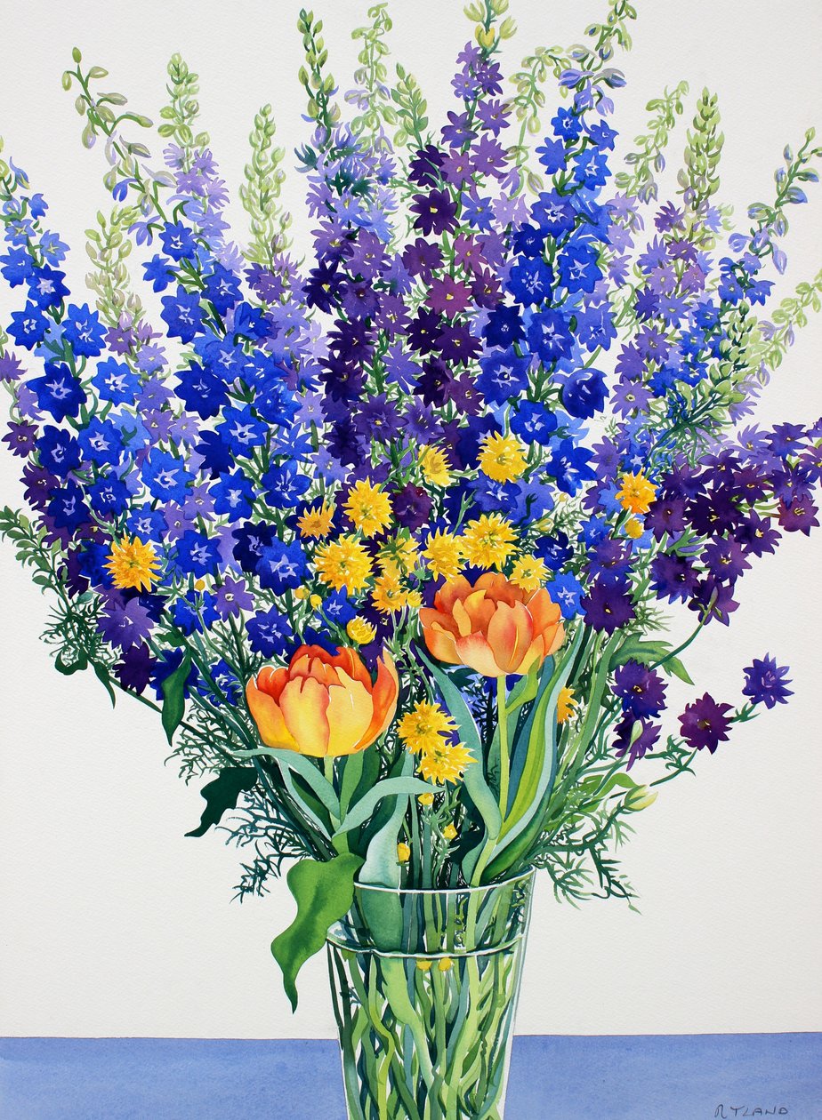 Larkspur és Delphinium (akvarell papíron) alkotó: Christopher Ryland