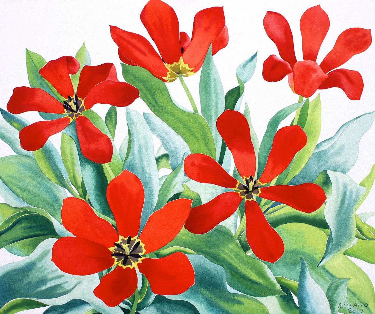 Madame Lefeber tulipánok 2 (akvarell papíron) alkotó: Christopher Ryland