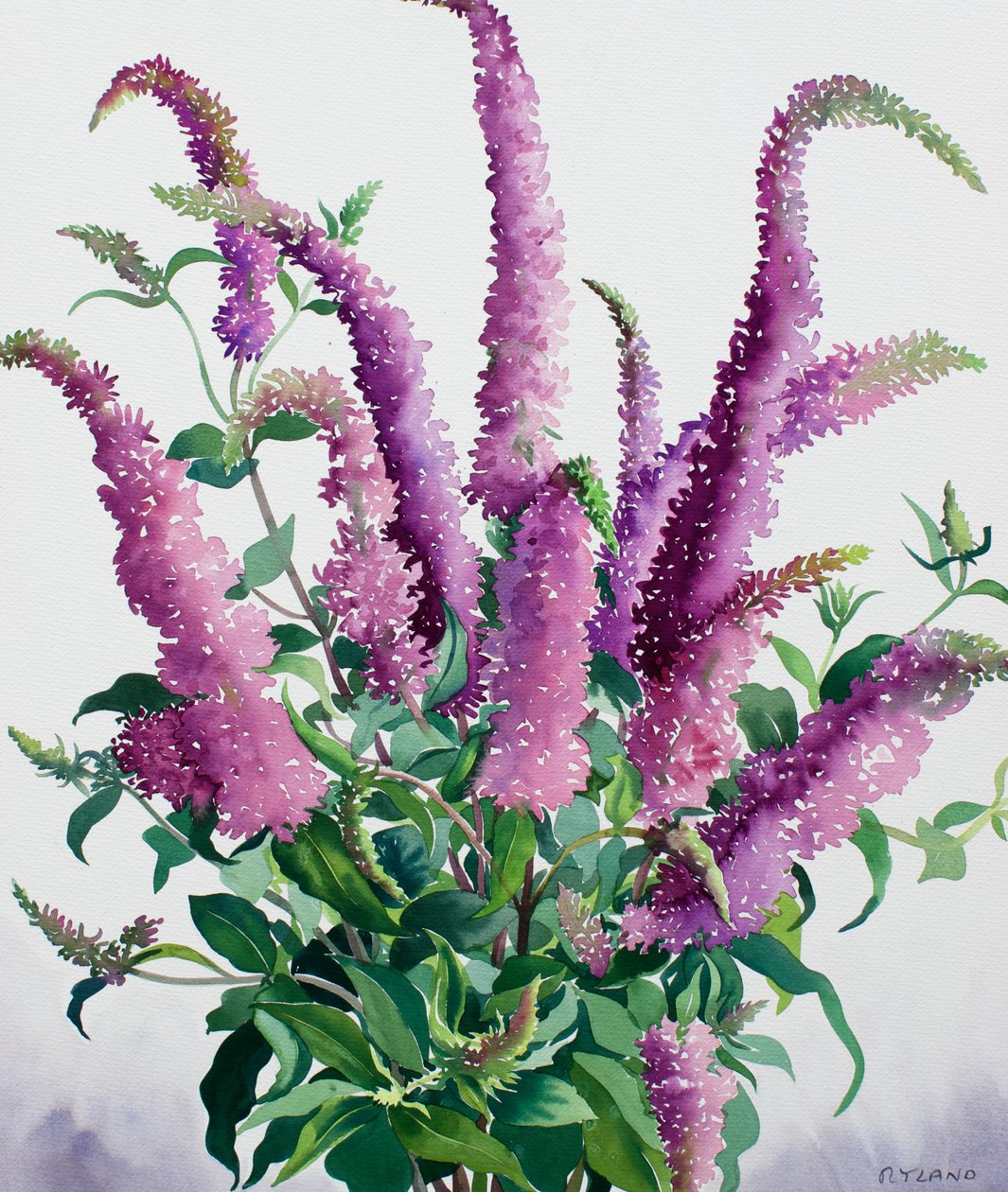 Vad Buddleia alkotó: Christopher Ryland
