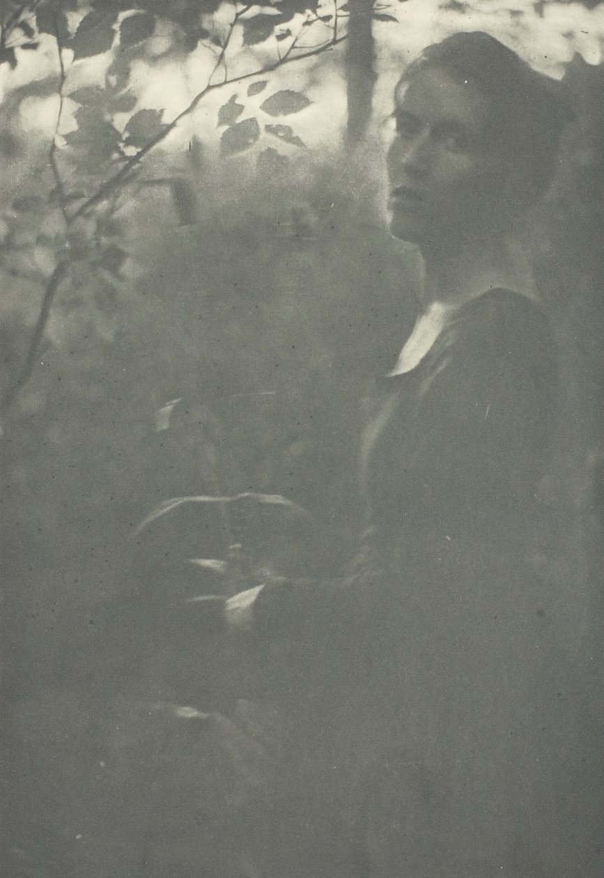 Edge of Woods, c. 1899. alkotó: Clarence H White