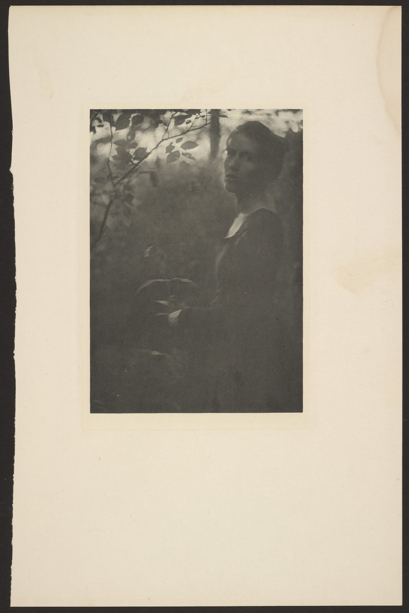 [Edge of the Woods -- Este] alkotó: Clarence H. White