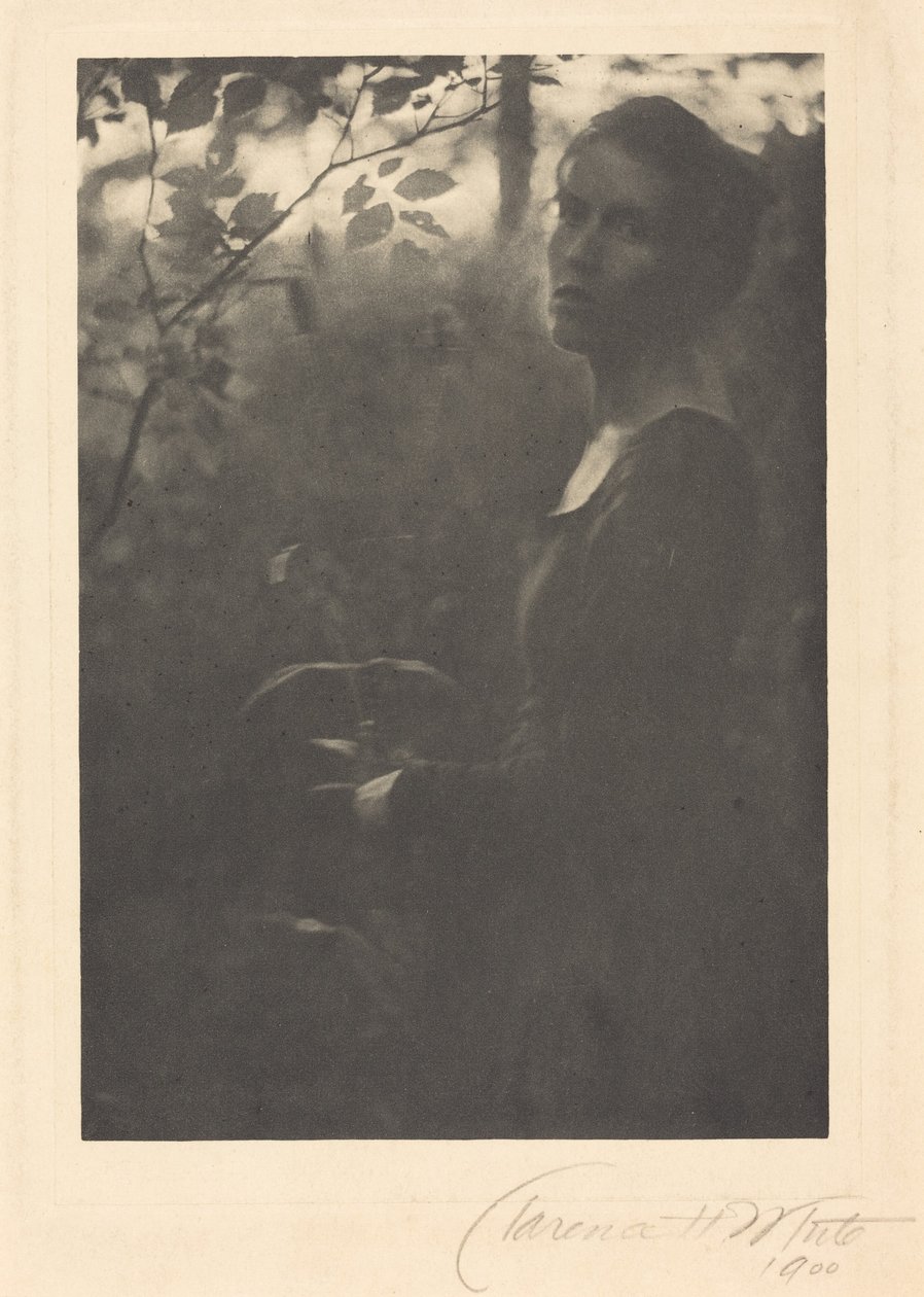 Az erdő szélén, este,1900 (fénykép) alkotó: Clarence Henry White
