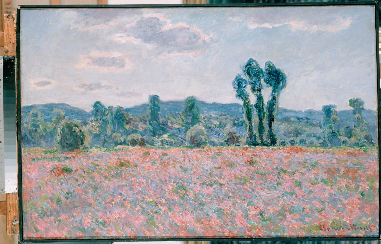 Poppy Field Polski: Pole makow alkotó: Claude Monet