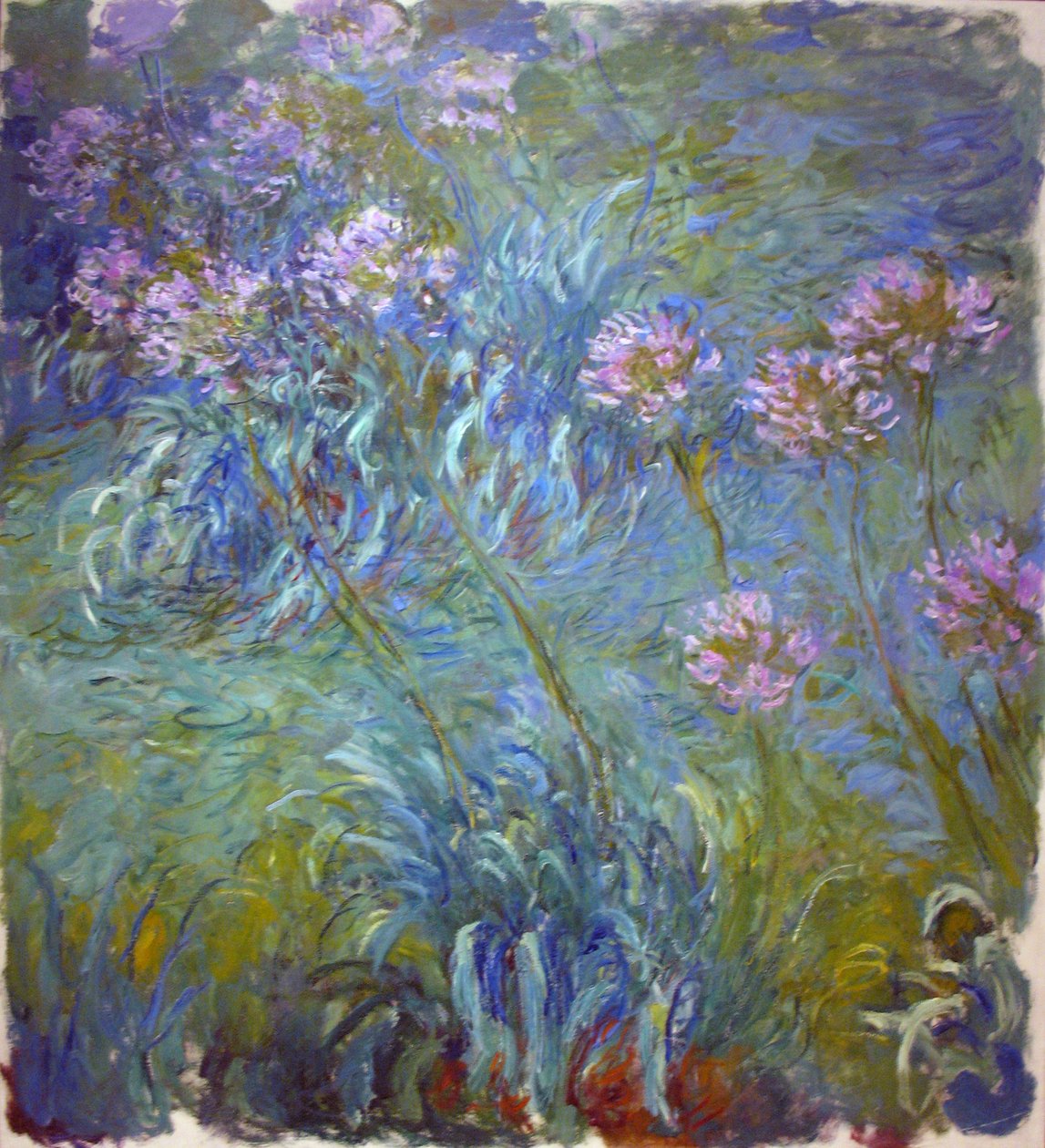 Agapanthus alkotó: Claude Monet