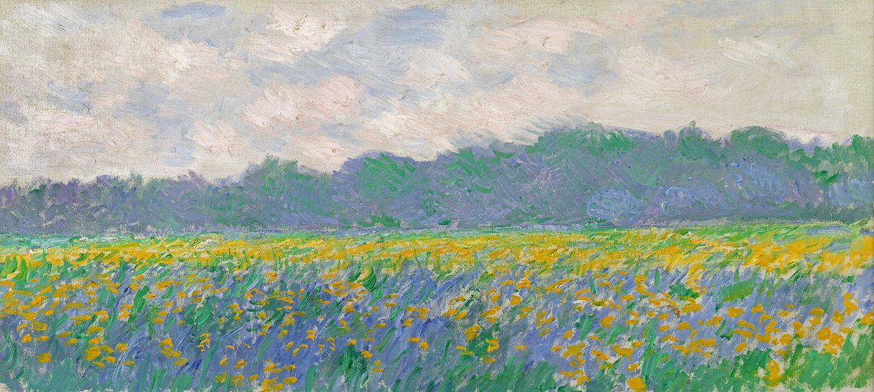 A sárga íriszek mezője Givernyben, 1887 alkotó: Claude Monet