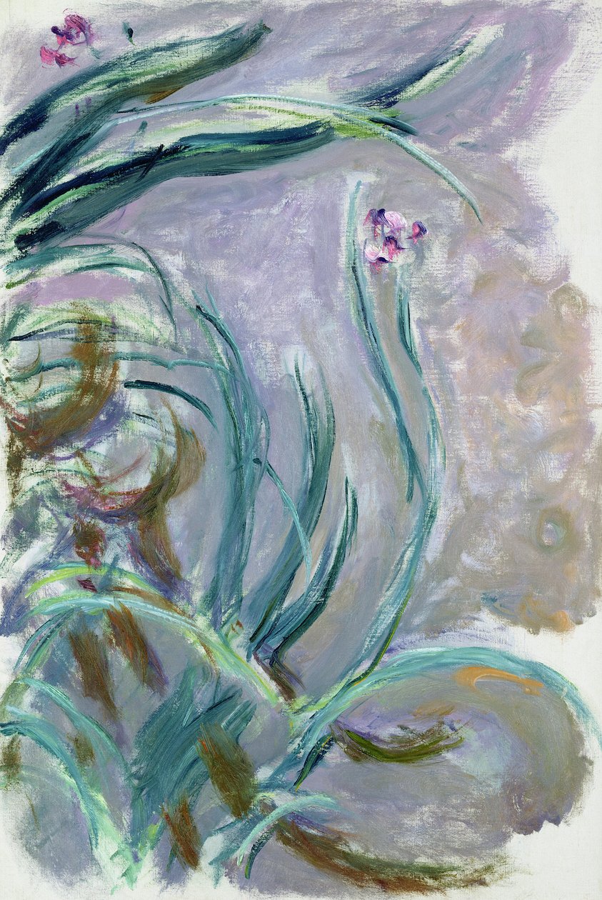 Írisz, 1924-25 alkotó: Claude Monet