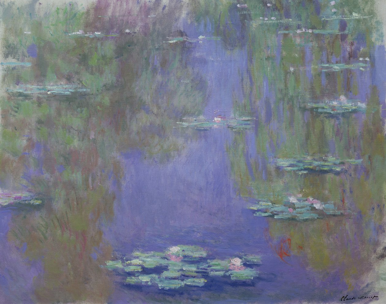 Tavirózsa, 1903 alkotó: Claude Monet