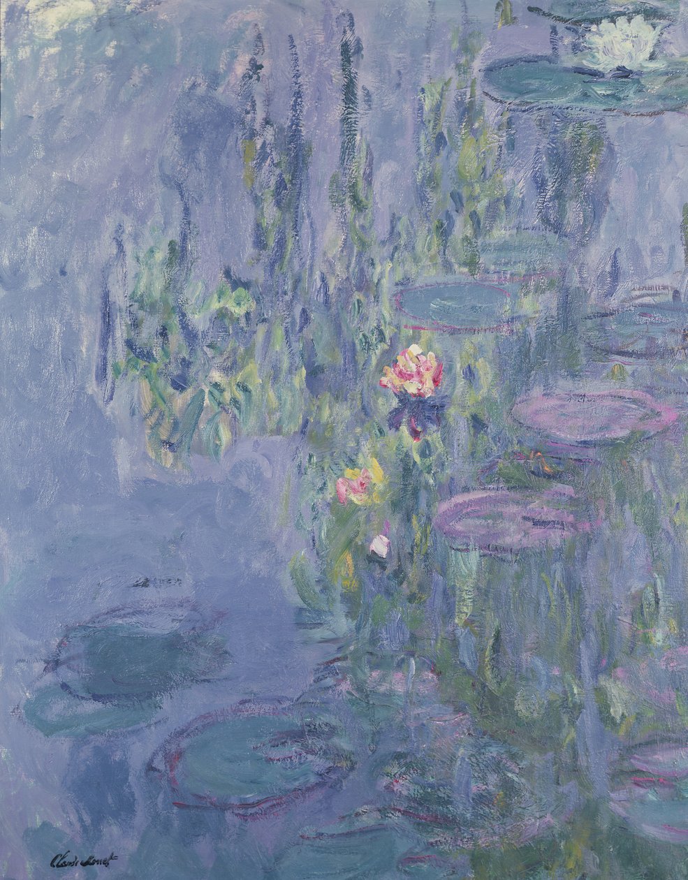 Tavirózsa, 1907 alkotó: Claude Monet