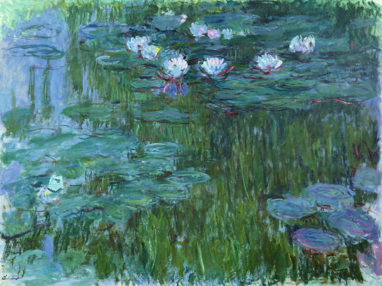 Tavirózsa, 1914-17 (lásd a részletet: 158601) alkotó: Claude Monet