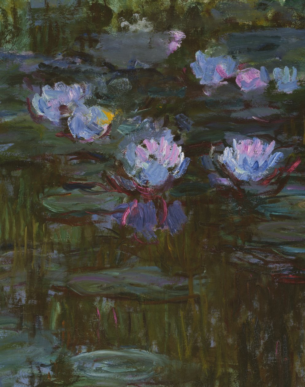 Tavirózsák, 1914-17 részlet 158601 olaj, vászon alkotó: Claude Monet