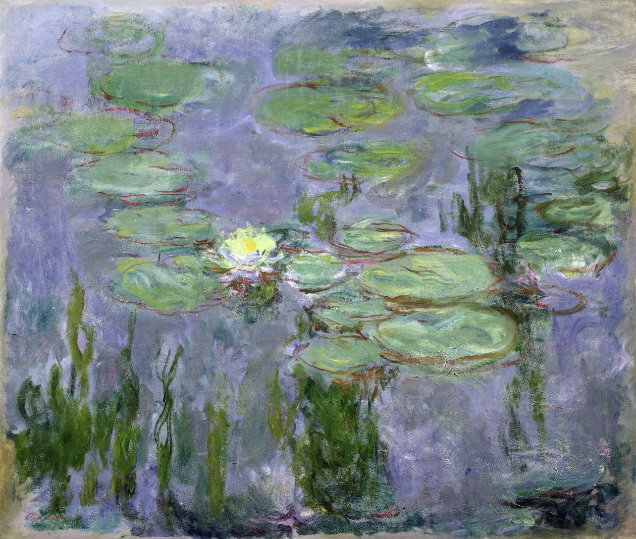 Tavirózsa, 1915 alkotó: Claude Monet