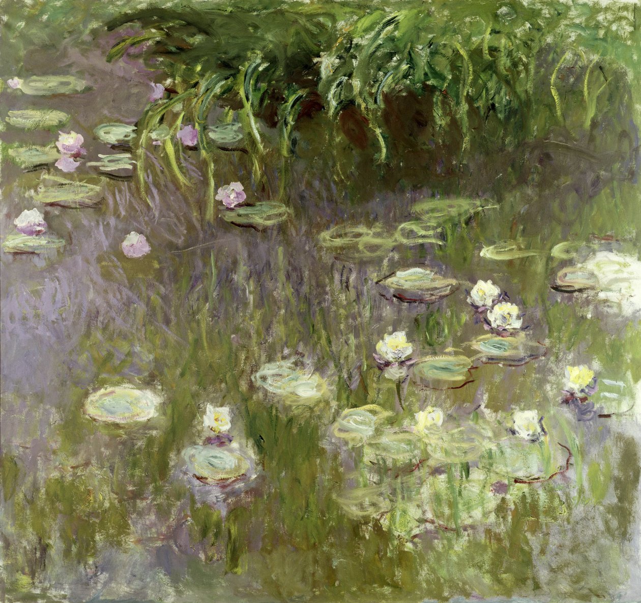 Tavirózsa délben, 1918 alkotó: Claude Monet