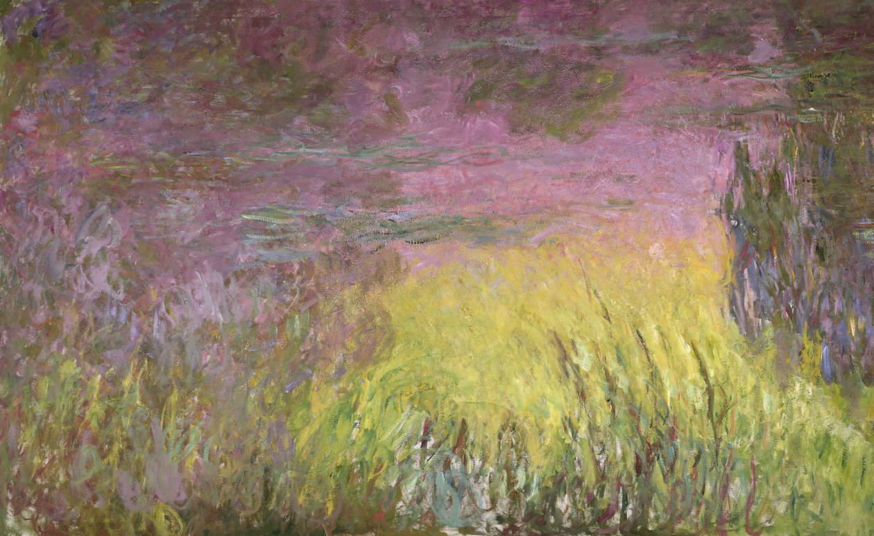 Tavirózsa naplementekor, 1915-26 (bal oldal részlete) alkotó: Claude Monet