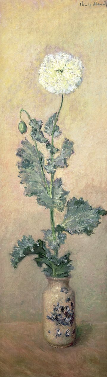 Fehér mák, 1883 alkotó: Claude Monet
