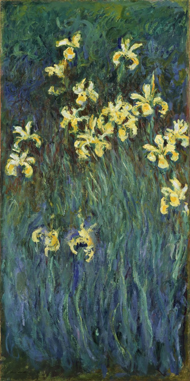Sárga íriszek alkotó: Claude Monet