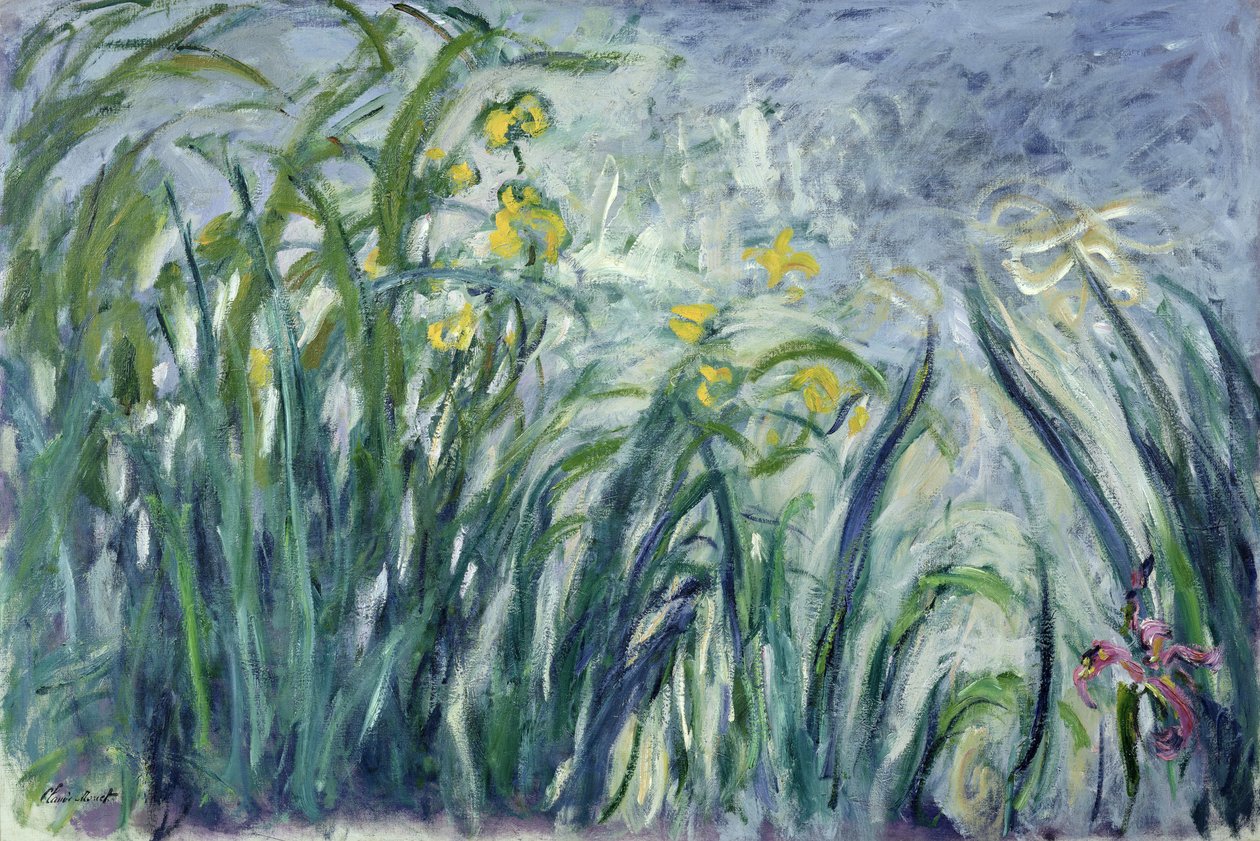 Sárga és lila íriszek, 1924-25 (lásd a 414407. számú részletet) alkotó: Claude Monet
