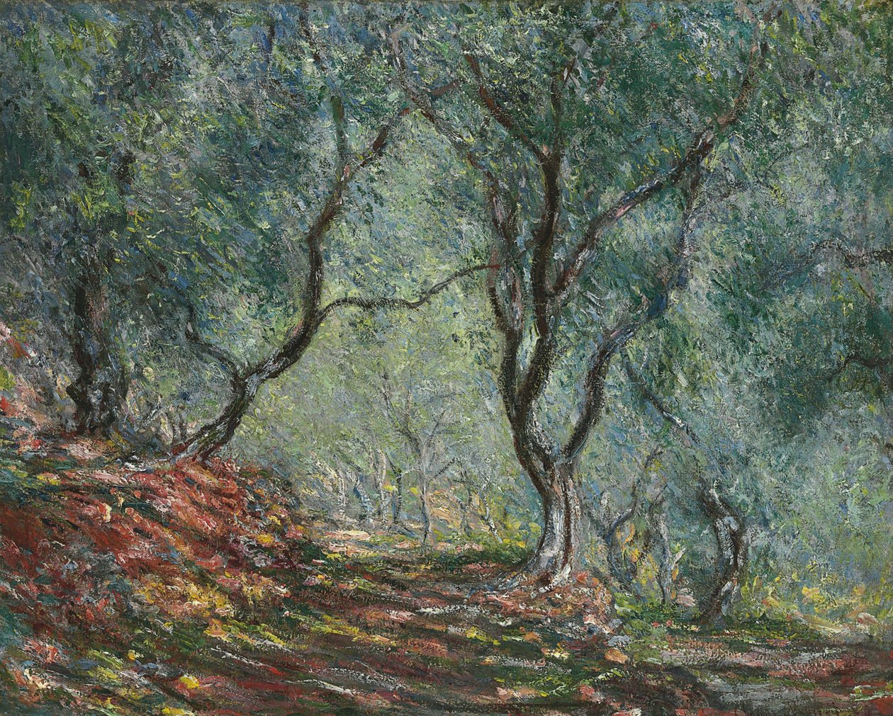Olajfaliget a Moreno kertben, 1884 alkotó: Claude Monet
