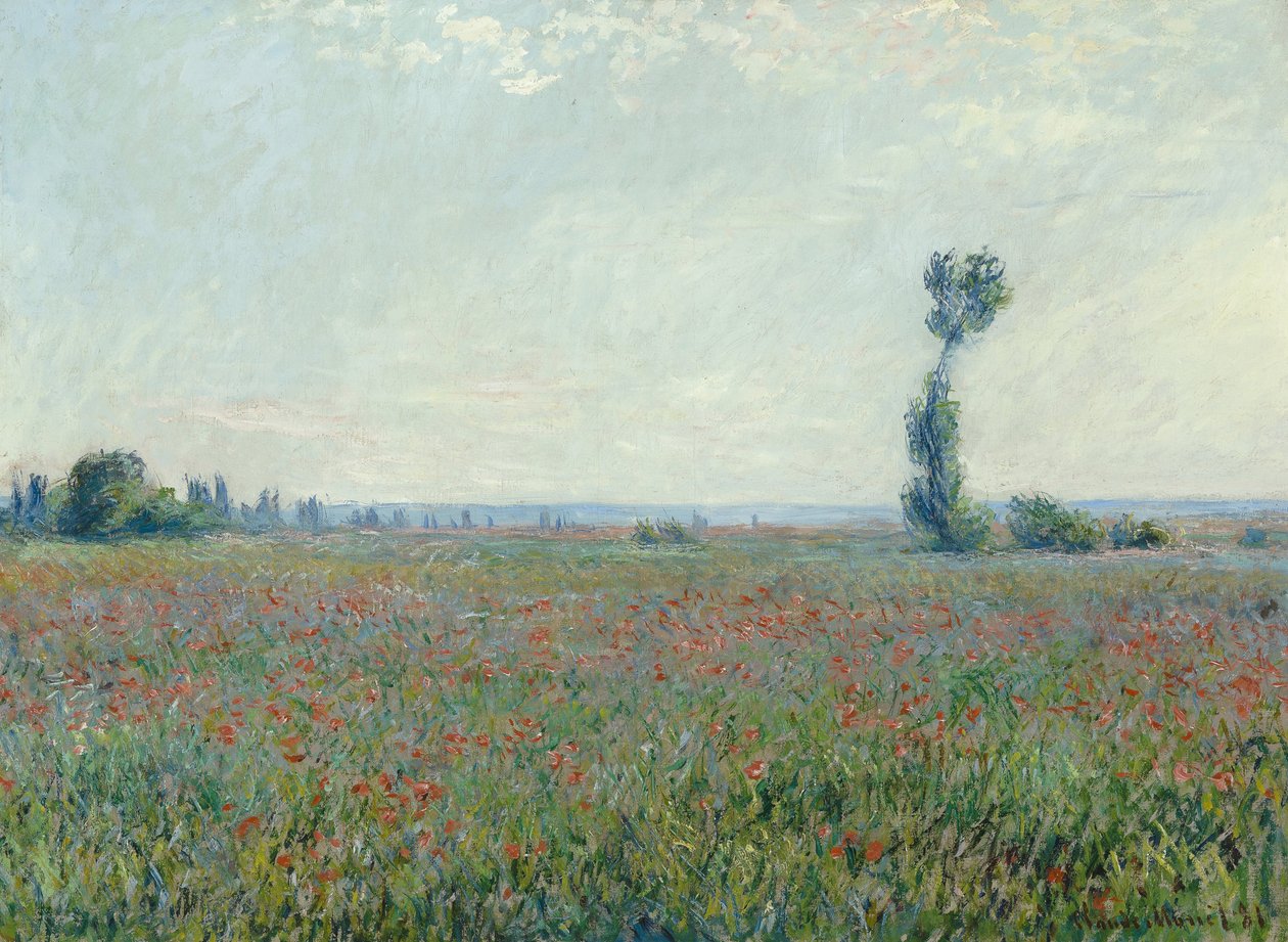 pipacsmező alkotó: Claude Monet