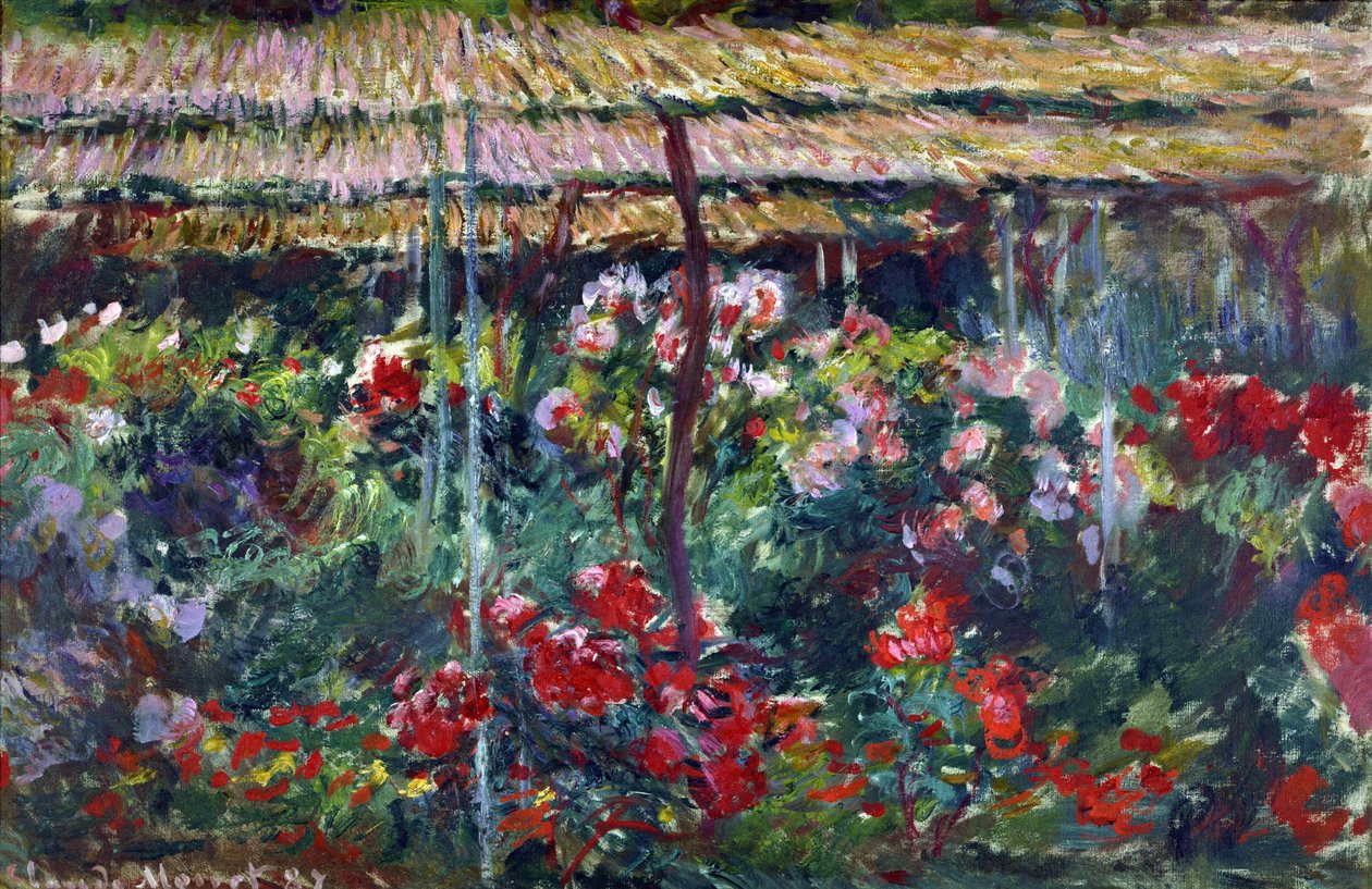 Pünkösdi rózsa kertje. (Festmény, 1887) alkotó: Claude Monet