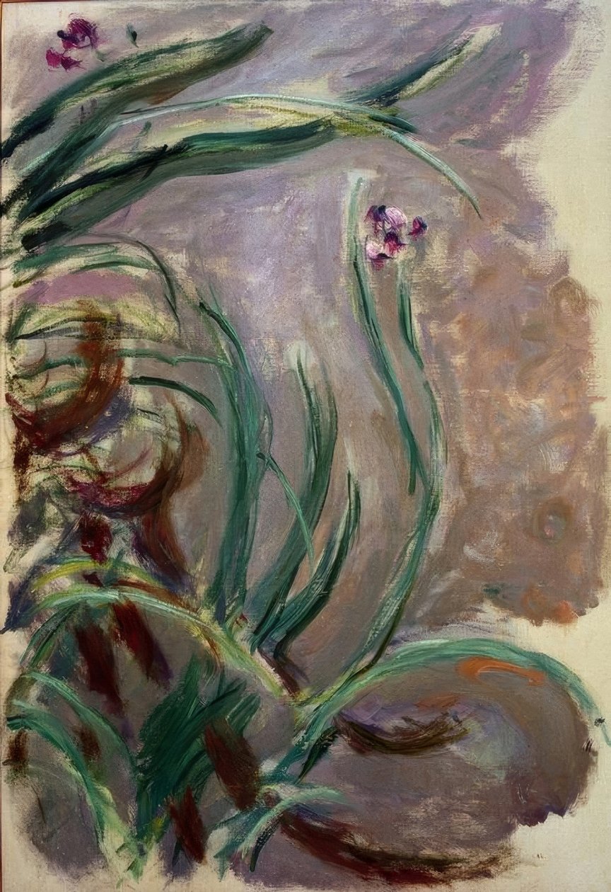 Írisz (Irises) alkotó: Claude Monet