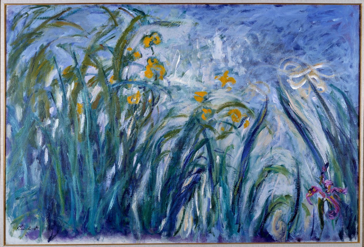 Írisz alkotó: Claude Monet