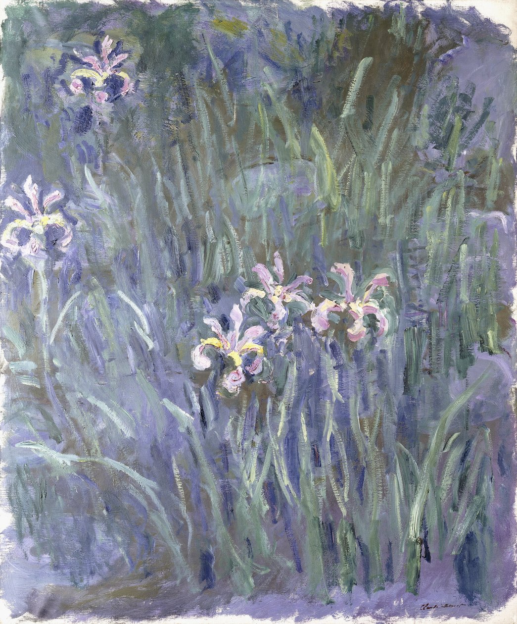 Írisz, 1914-1917 körül alkotó: Claude Monet