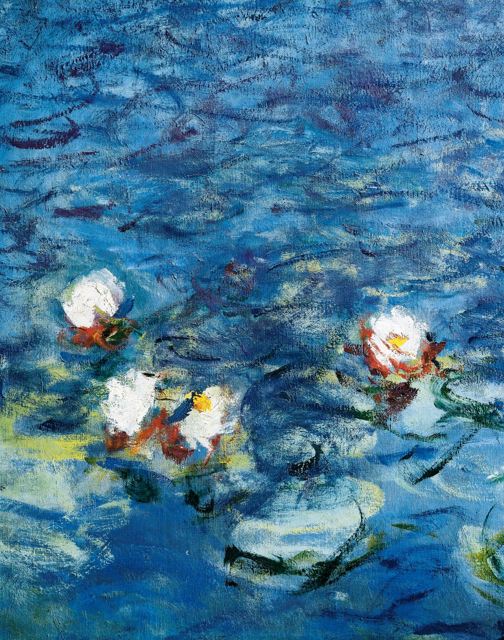 A tavirózsa: A reggel alkotó: Claude Monet