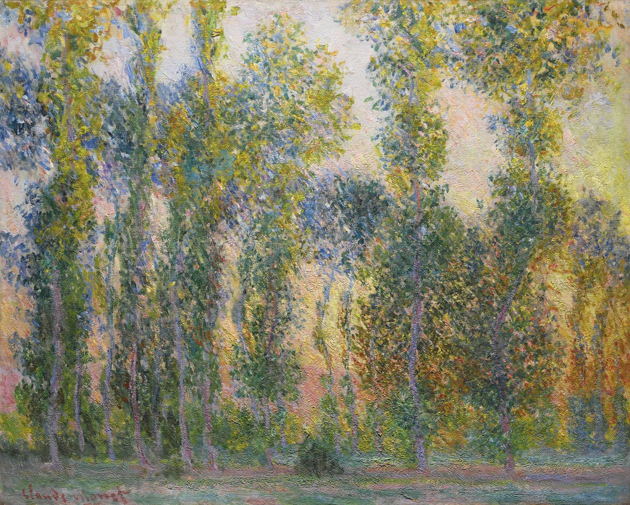 Nyárfák Givernyben, 1887 alkotó: Claude Monet