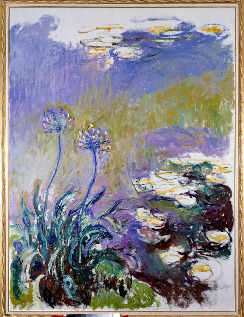 Az agapanthus alkotó: Claude Monet