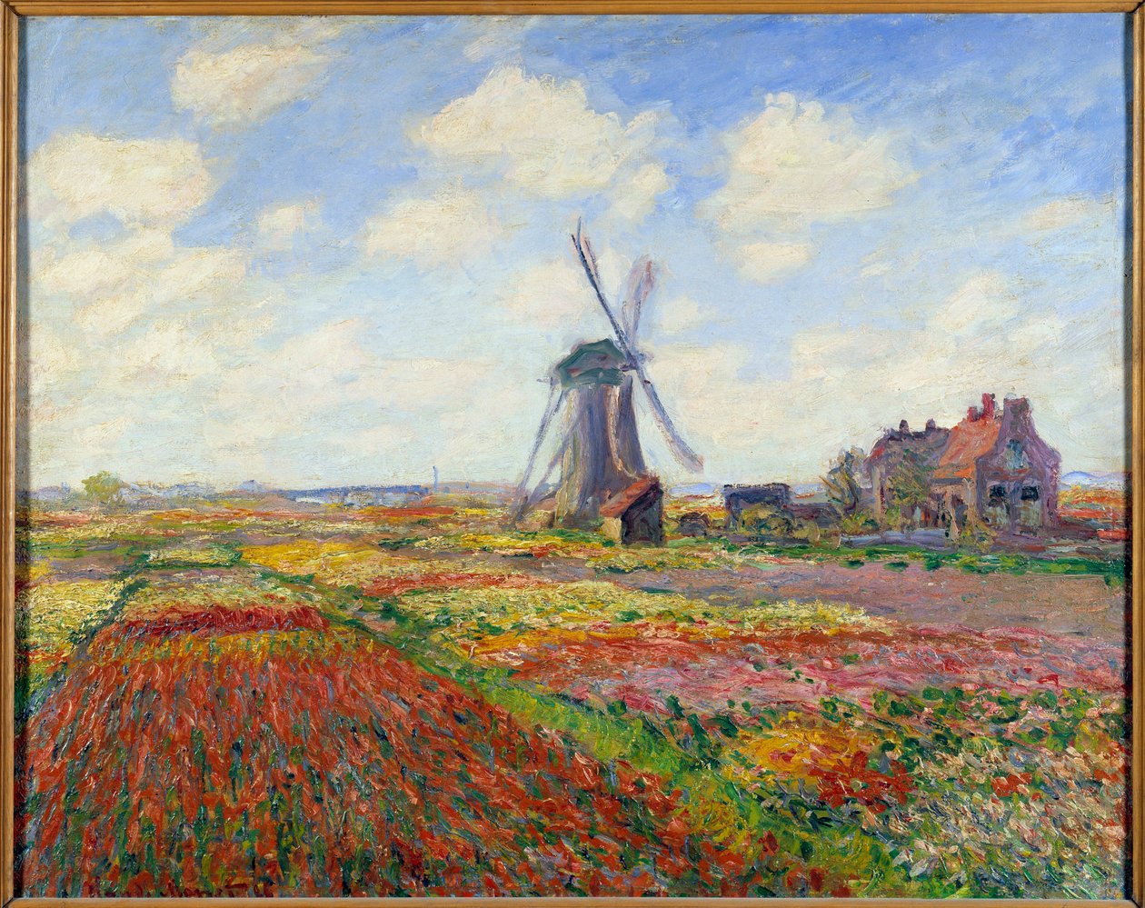 Tulip Fields in Holland (with a windmill) alkotó: Claude Monet