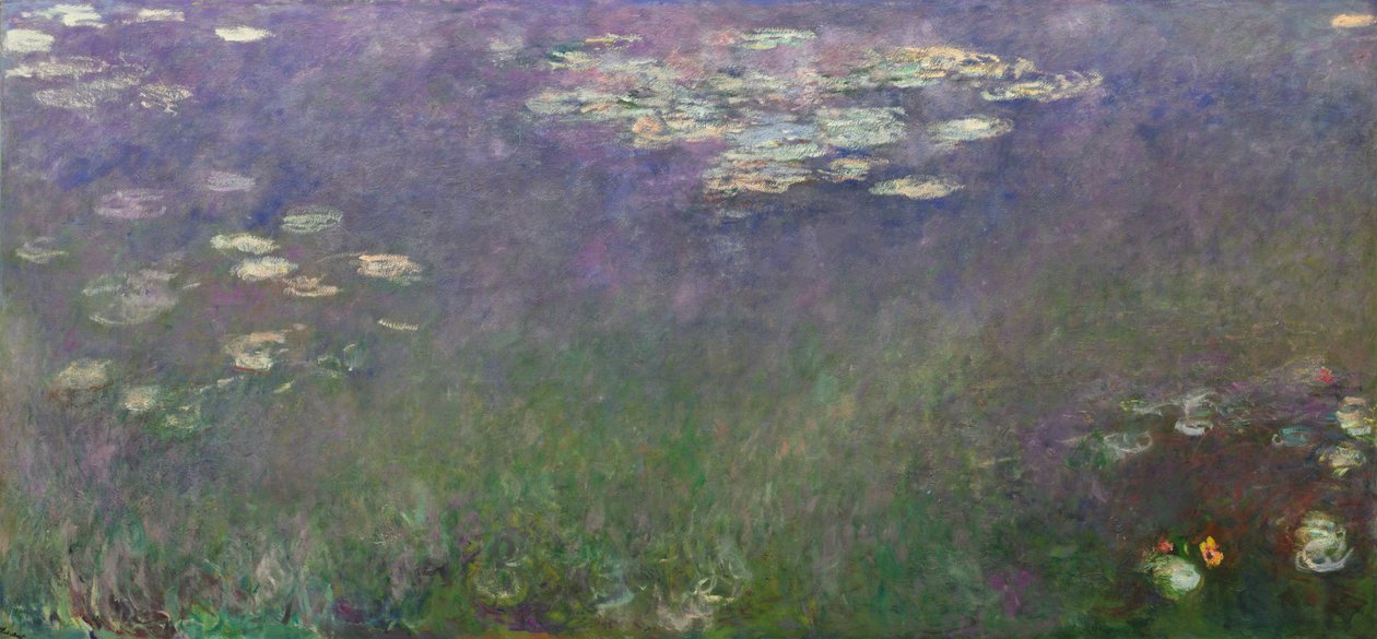 Tavirózsa (Agapanthus) alkotó: Claude Monet